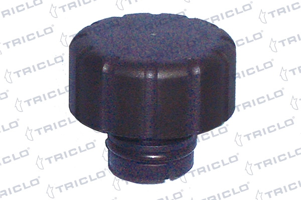 313338 Triclo