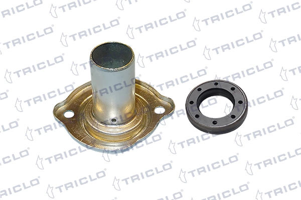624820 Triclo