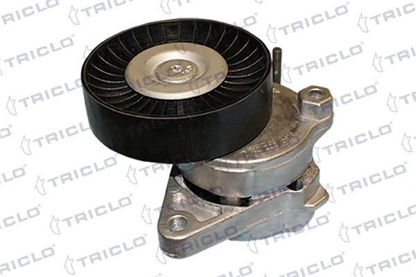 Rolo de reguladora de tensão da correia de transmissão Mercedes ML/GLE SUV (W164) (2005 - 2011) 