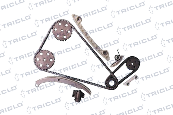 428836 Triclo
