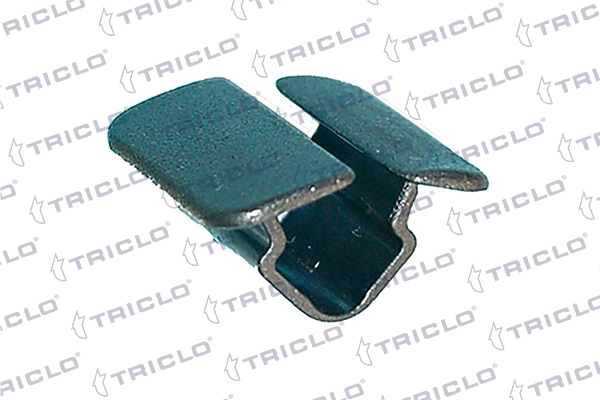 162846 Triclo