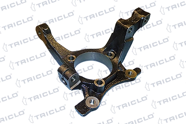 768905 Triclo