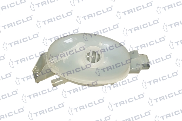 Tanque de expansão do sistema de esfriamento Renault Master III FV