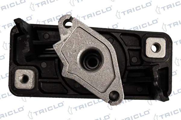 121911 Triclo 