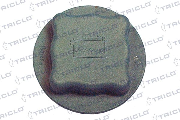 Tampa (tampão) do tanque de expansão para Volvo S40 I VS