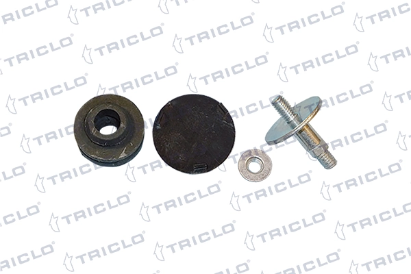 312144 Triclo