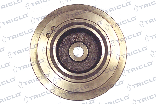 80000710 Ford Polia de cambota