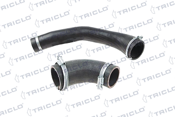 528986 Triclo