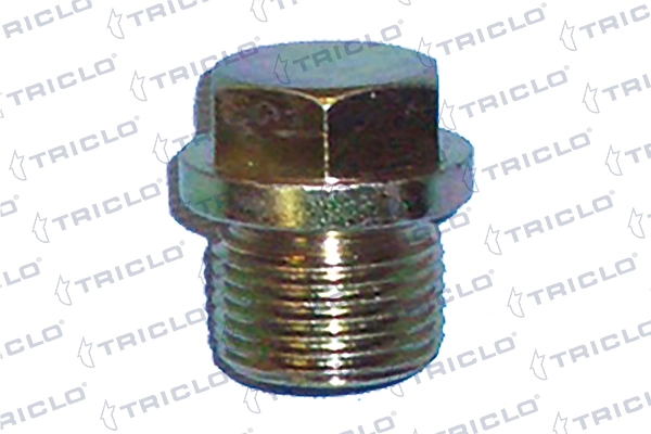 326161 Triclo