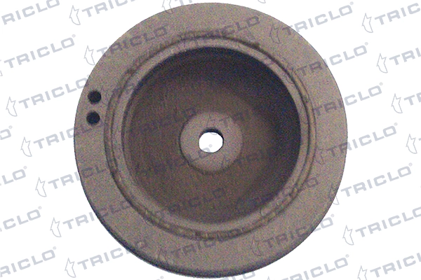 Polia de cambota Renault Laguna preço, a partir de 21,94 USD