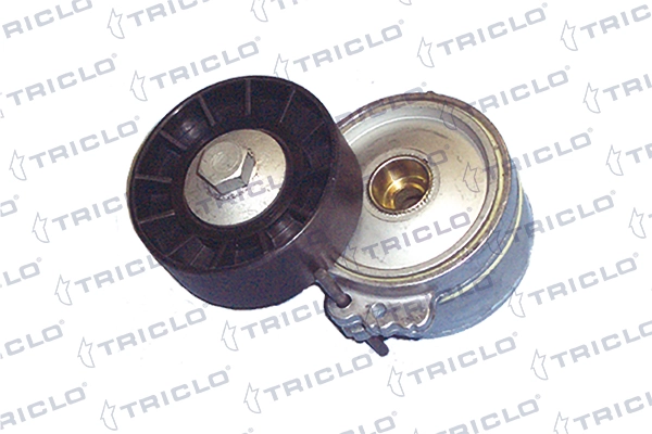 Compre Rolo de reguladora de tensão da correia de transmissão Fiat Scudo 