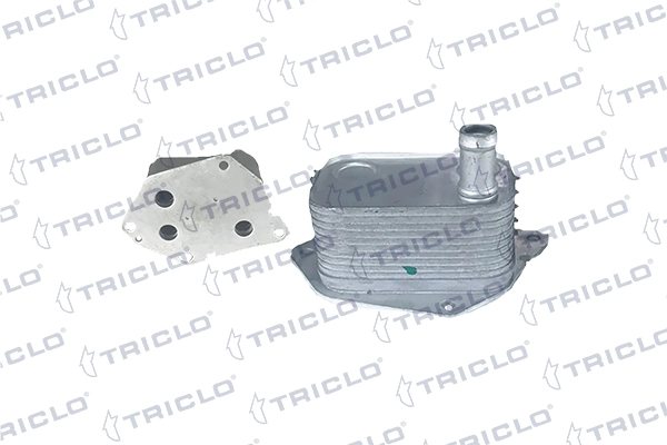 416699 Triclo