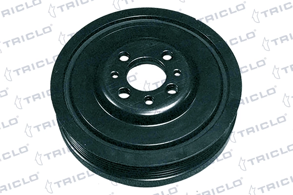 423791 Triclo
