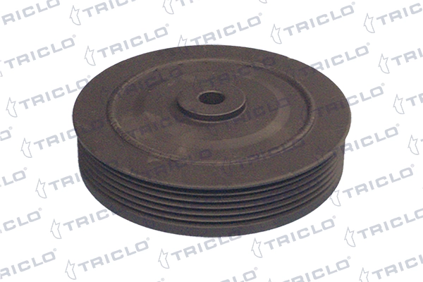 Compre Polia de cambota Renault Laguna 1