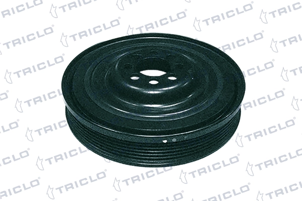 423793 Triclo