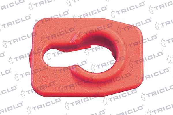 162898 Triclo