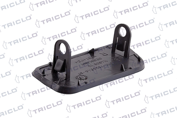 190206 Triclo