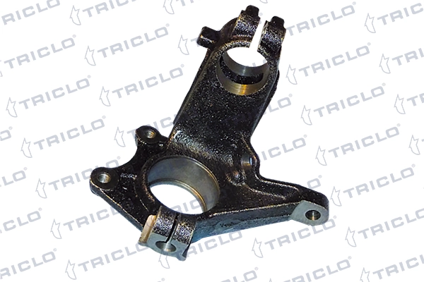 761856 Triclo