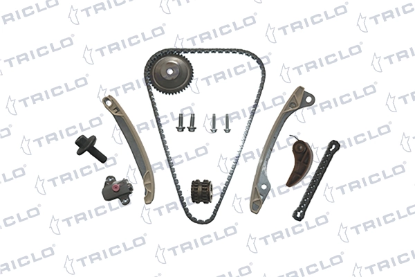 1302800Q0J Renault (RVI) Cadeia superior do mecanismo de distribuição de gás, kit