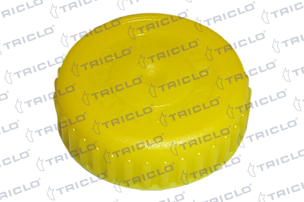 Tampa (tampão) do tanque de expansão Nissan Almera II N16 ao melhor preço