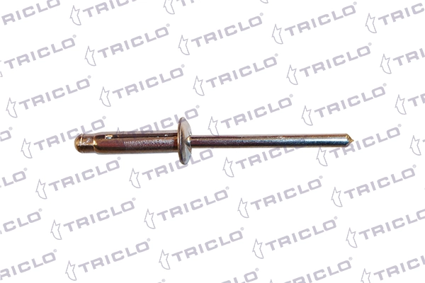 161796 Triclo