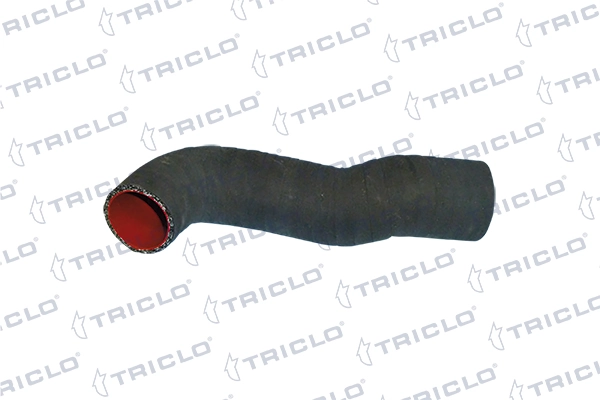 528981 Triclo