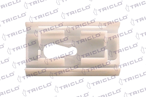 162919 Triclo