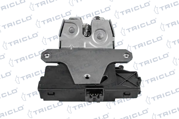 138662 Triclo