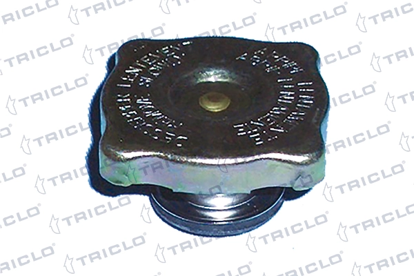 4469385 Fiat/Alfa/Lancia Tampa (tampão) do radiador
