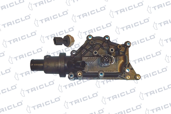 Caixa do termostato Renault Clio III BR01, CR01 ao melhor preço