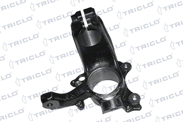 762219 Triclo