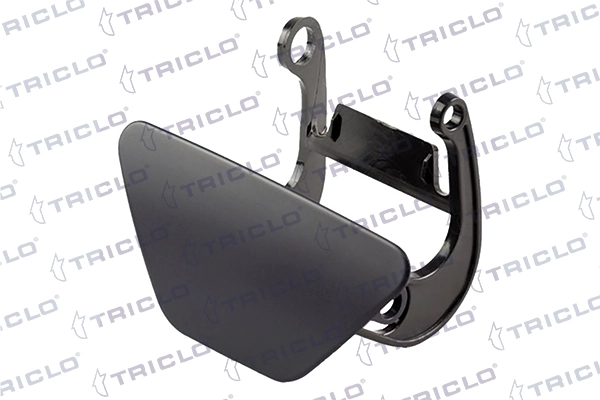 190208 Triclo