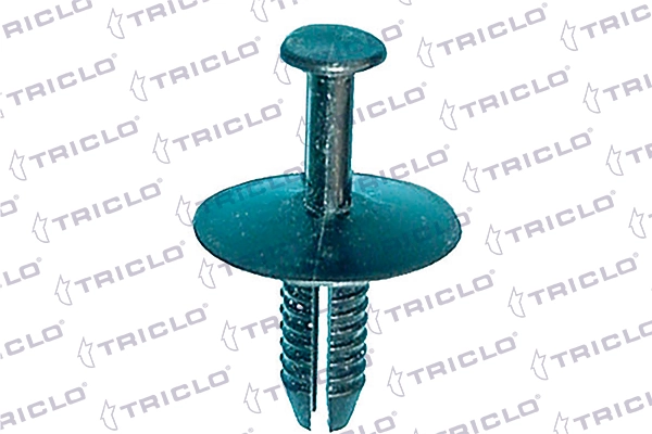 163045 Triclo