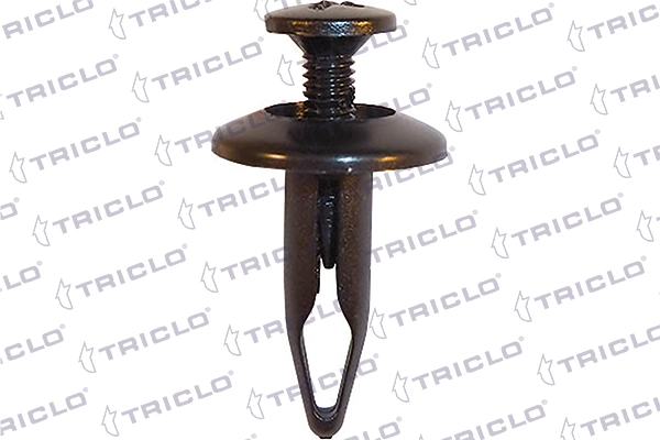 164313 Triclo