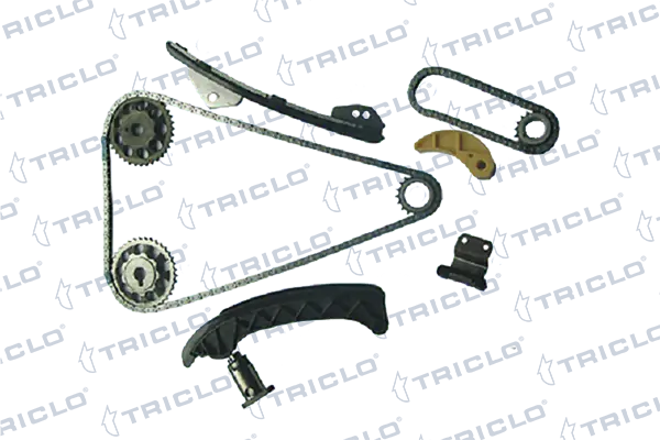 426398 Triclo