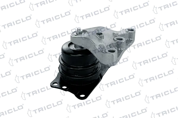 363011 Triclo