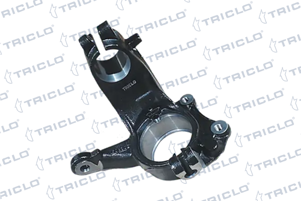 760297 Triclo