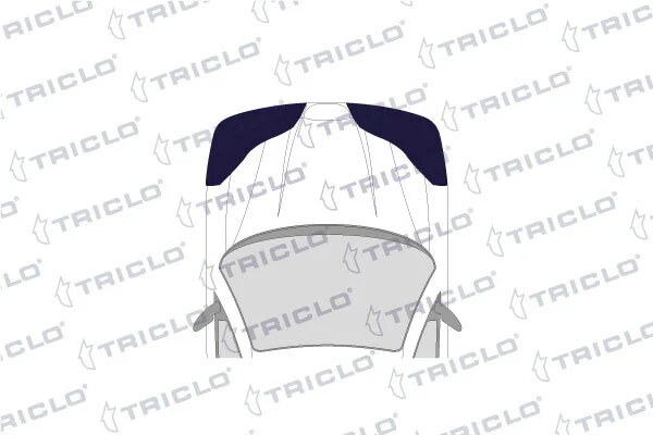 162969 Triclo 