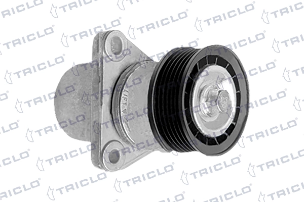 428697 Triclo