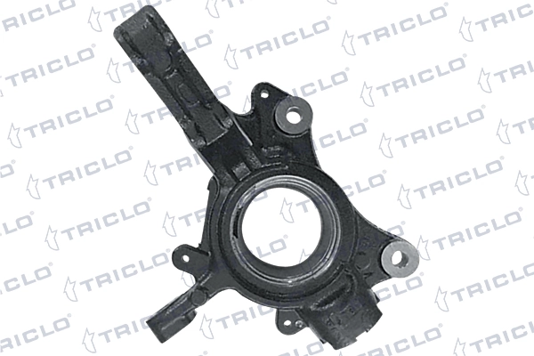 765885 Triclo