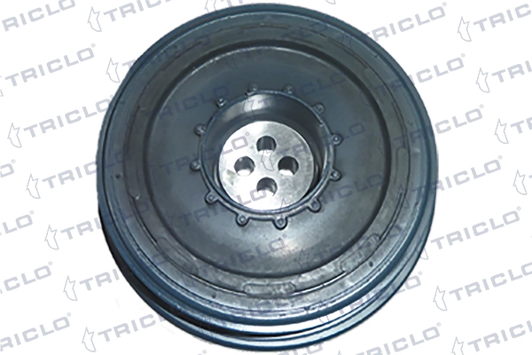 422750 Triclo Polia de cambota