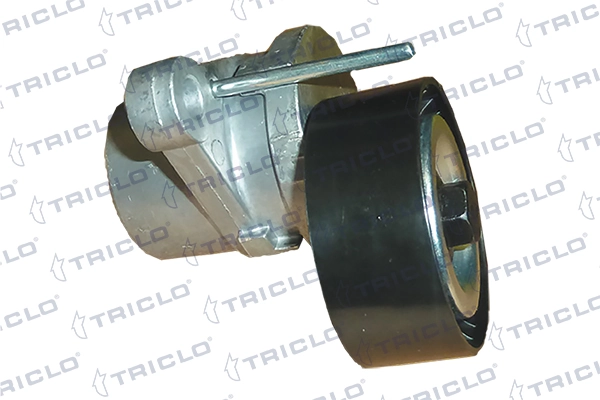 Compre Reguladora de tensão da correia de transmissão Citroen C3 
