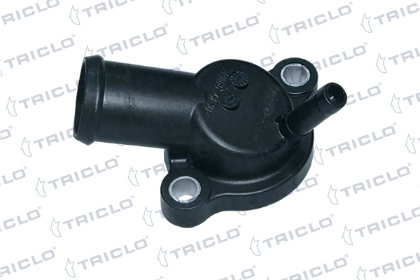 462396 Triclo