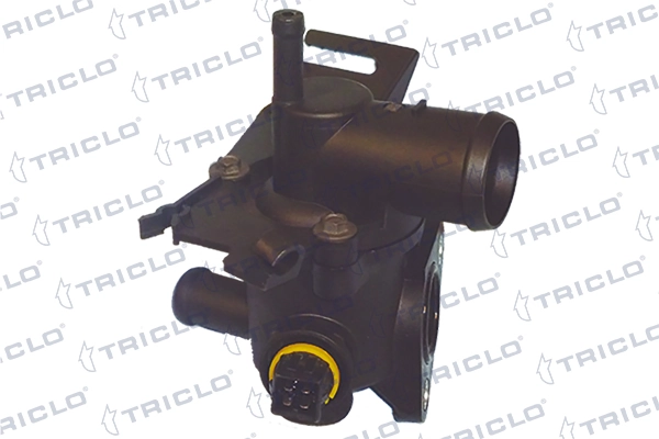 463313 Triclo