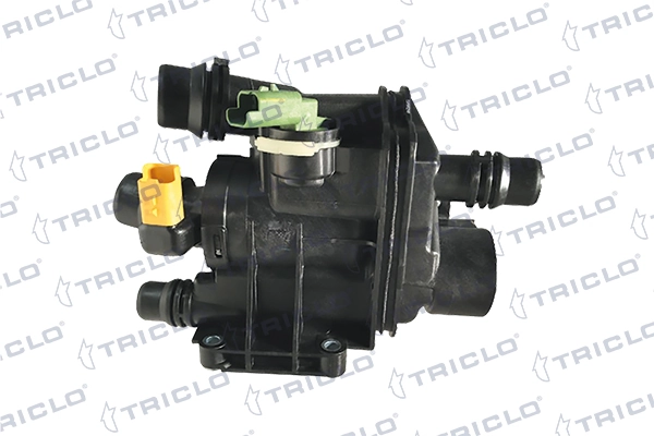 460313 Triclo