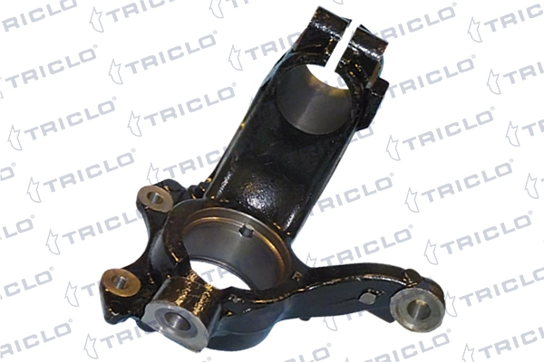 762222 Triclo
