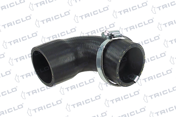 528725 Triclo