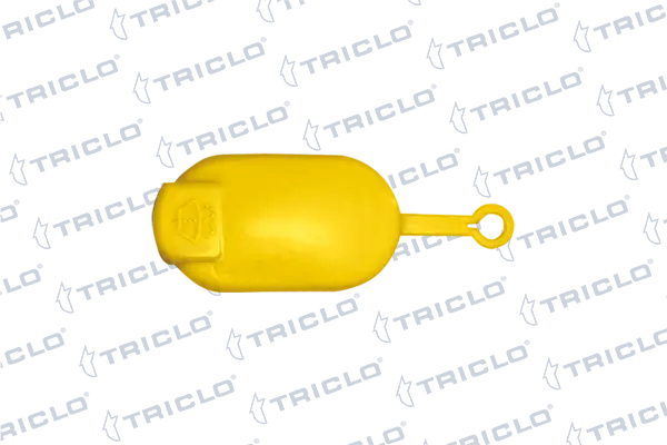  Tampa de tanque de fluido para lavador Renault Laguna II hatchback (BG0, BG1) (2001 - 2007) II