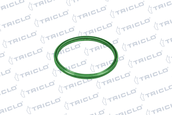 Compre 116305595 Hans Pries (Topran) Anel de vedação (vedante) de cano derivado de intercooler