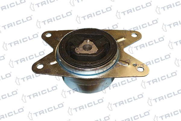 368669 Triclo